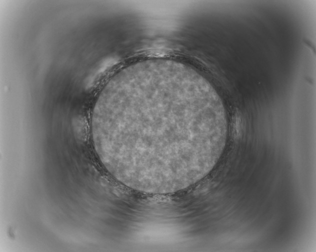 X0000103951446200810171827