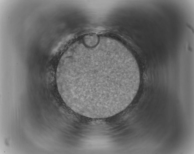 X0000103951447200810171827