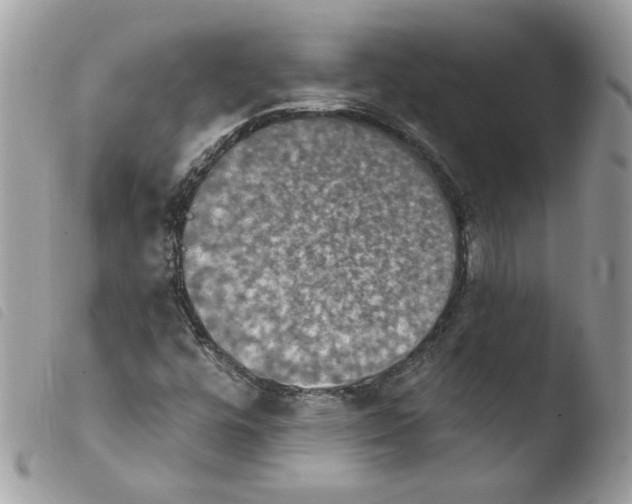 X0000103951448200810171827