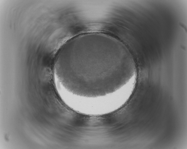 X0000103951449200810171827