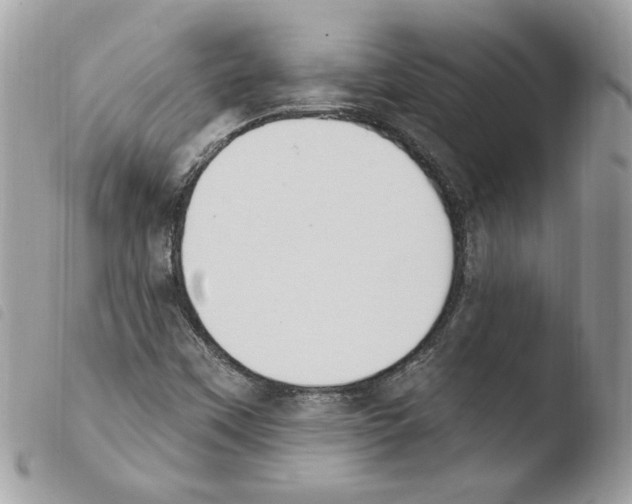 X0000103951451200810171827