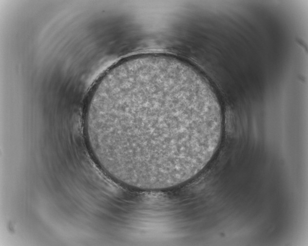 X0000103951452200810171827