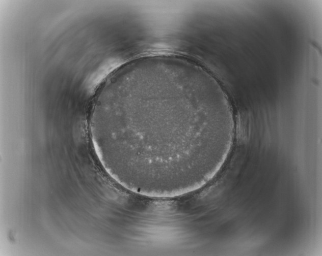 X0000103951453200810171827