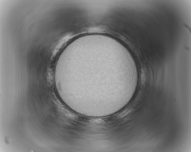 X0000103951454200810171827