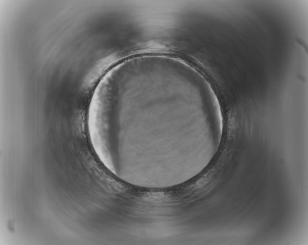 X0000103951455200810171827