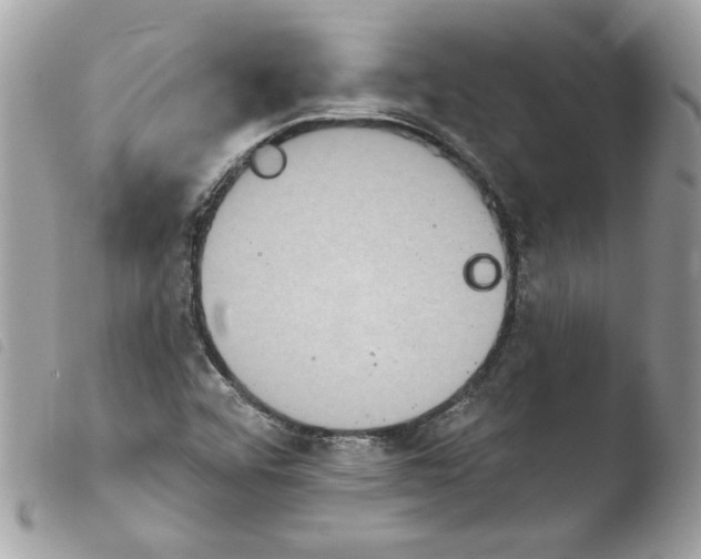X0000103951456200810171827