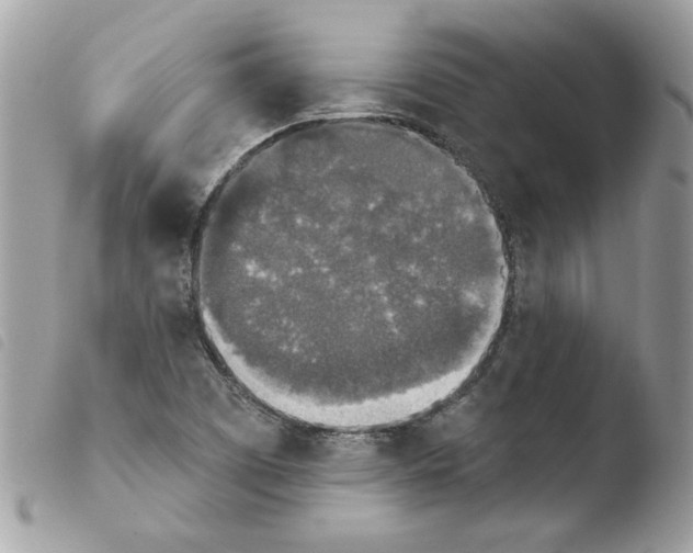 X0000103951457200810171827