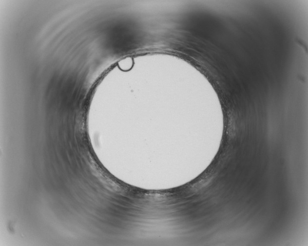 X0000103951458200810171827