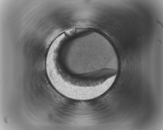 X0000103951459200810171827