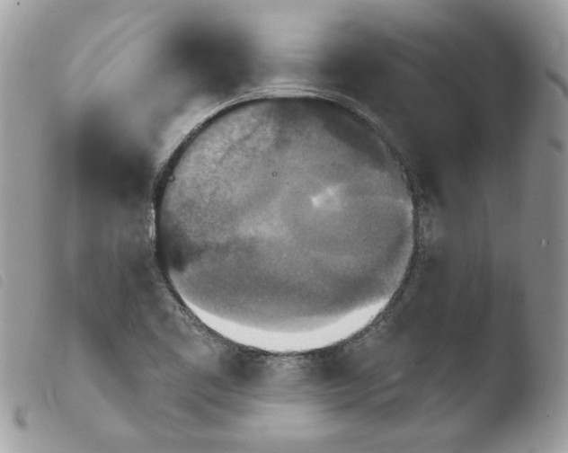 X0000103951461200810171827