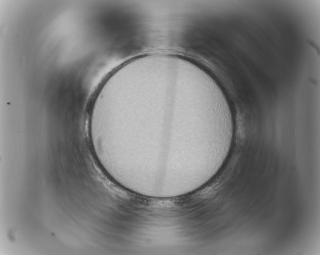 X0000103951462200810171827