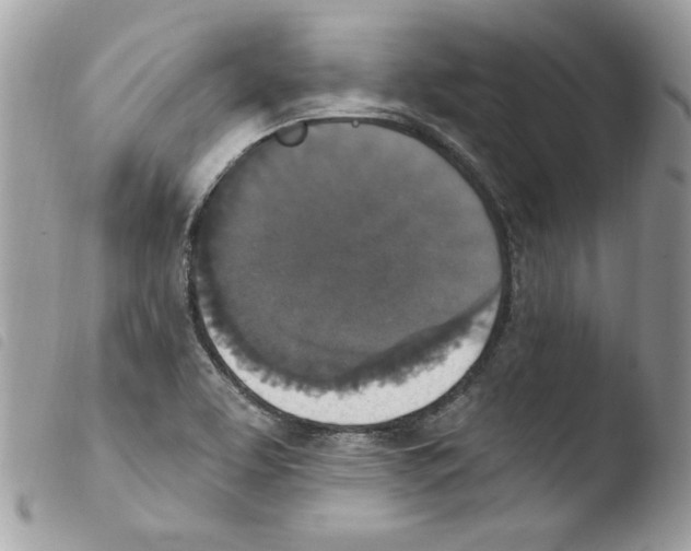 X0000103951463200810171827