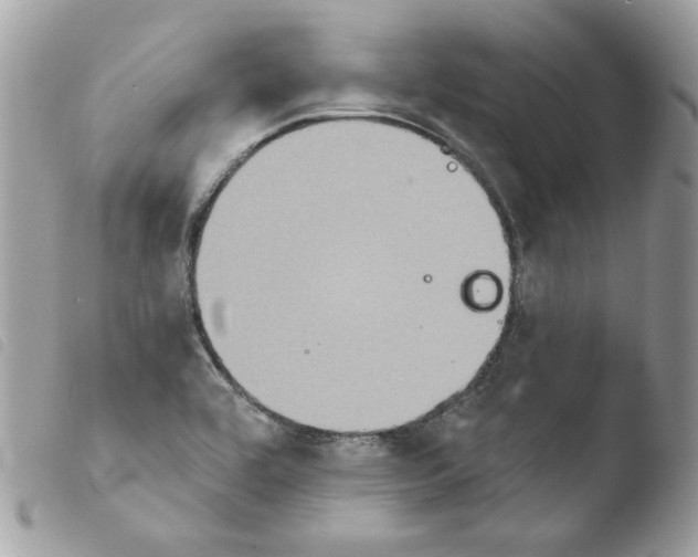 X0000103951464200810171827