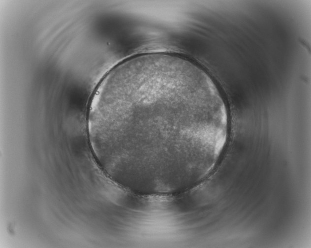 X0000103951465200810171827