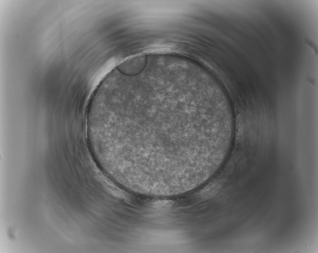 X0000103951467200810171827