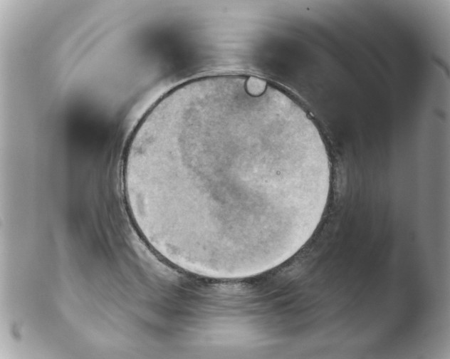 X0000103951468200810171827