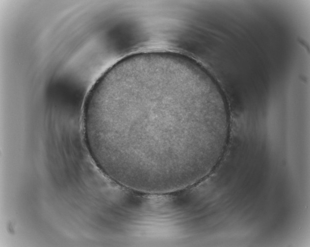 X0000103951469200810171826