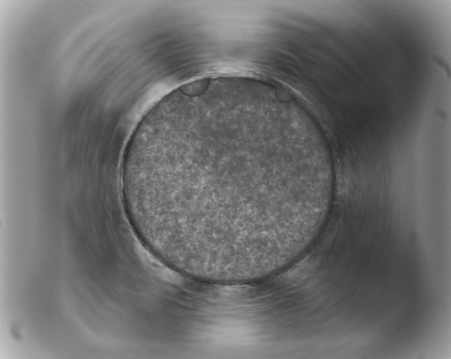 X0000103951471200810171826