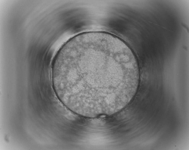 X0000103951472200810171826