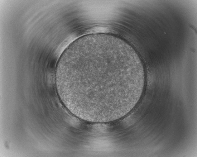 X0000103951473200810171826