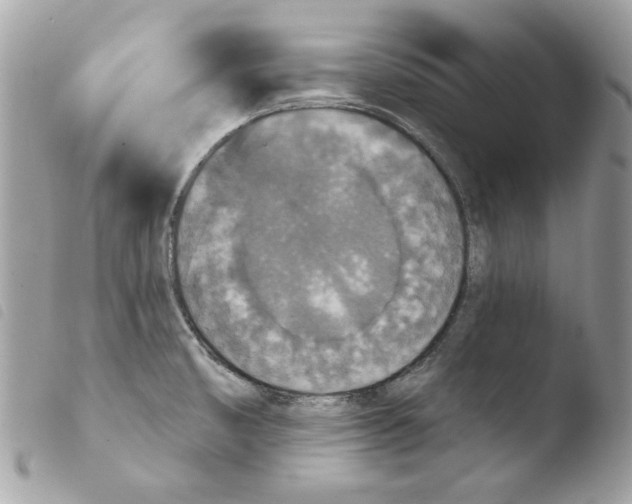 X0000103951474200810171826