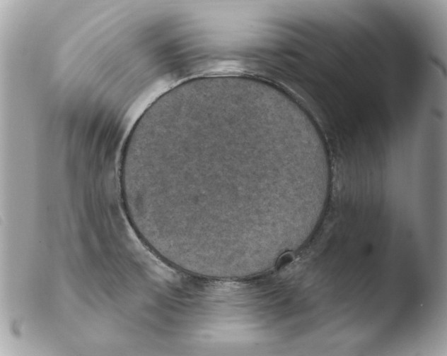 X0000103951475200810171826