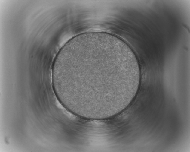 X0000103951476200810171826