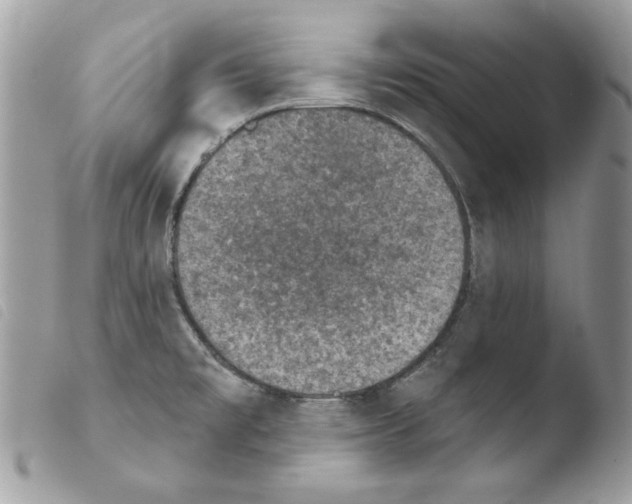 X0000103951477200810171826