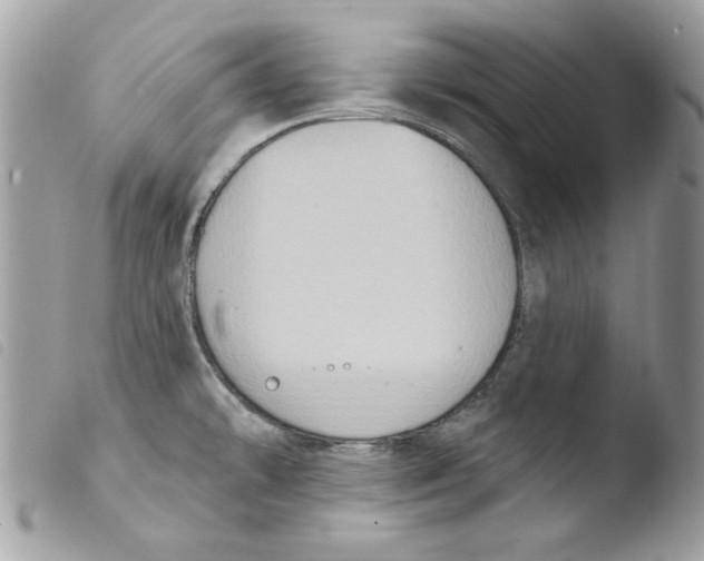 X0000103951478200810171826
