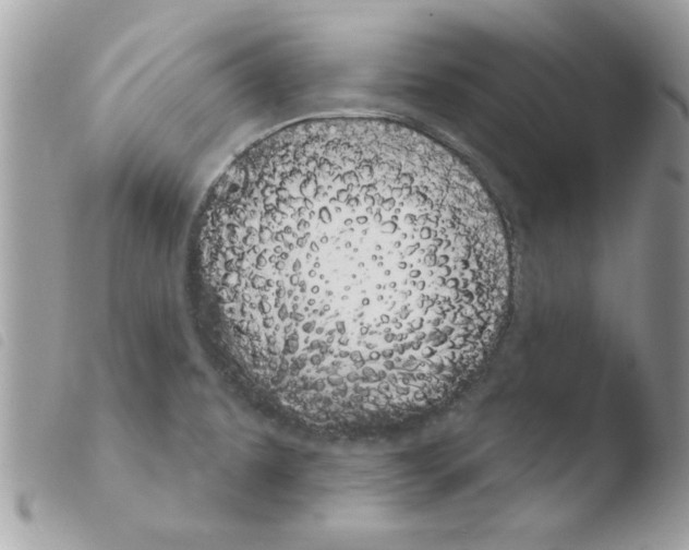 X0000103951479200810171826