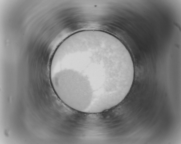 X0000103951480200810171826