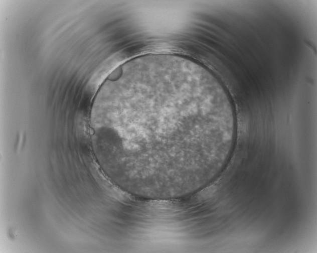 X0000103951481200810171826