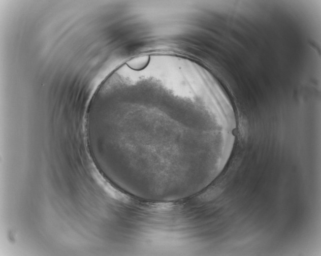 X0000103951482200810171826
