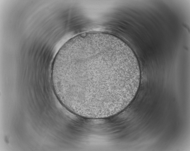 X0000103951483200810171826