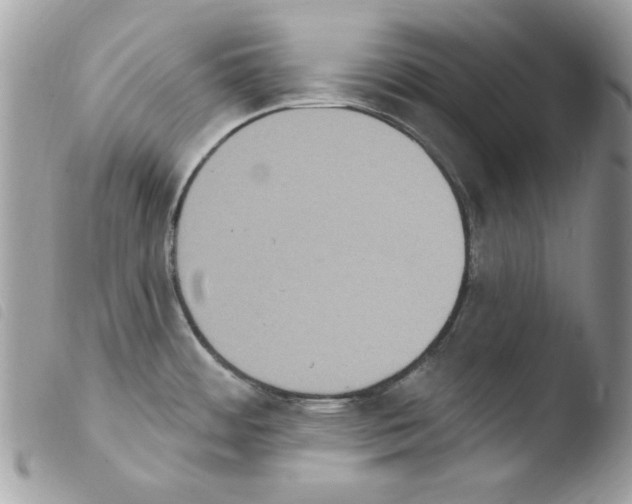 X0000103951484200810171826