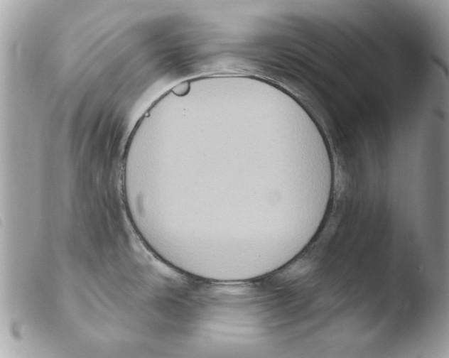 X0000103951486200810171826