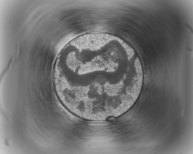 X0000103951487200810171826