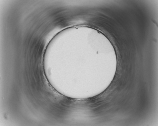 X0000103951488200810171826