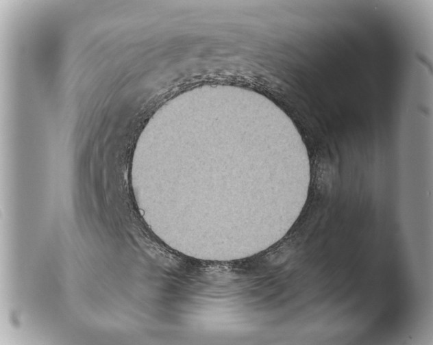 X0000103951489200810171825
