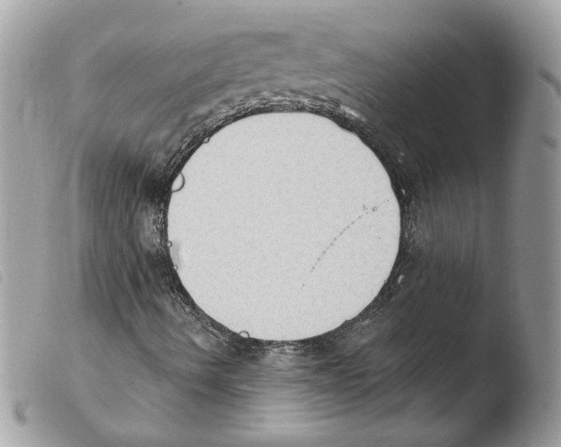 X0000103951490200810171825
