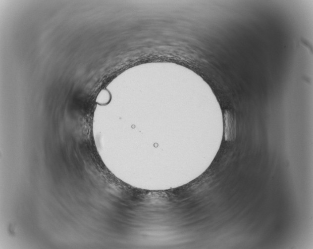 X0000103951491200810171825