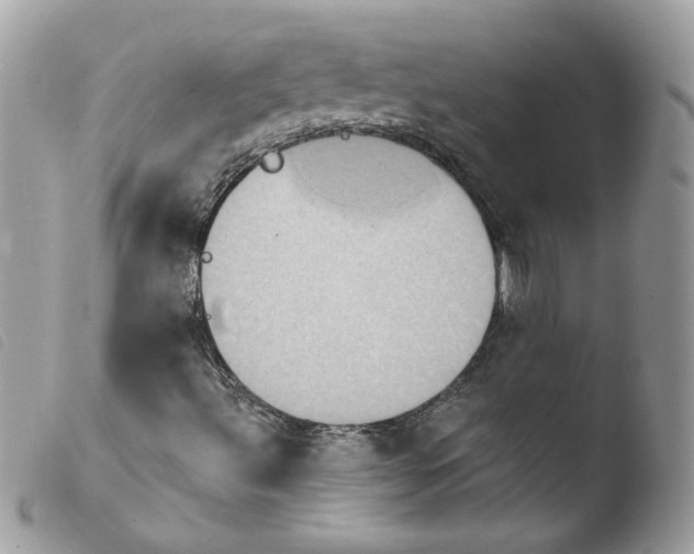 X0000103951492200810171825