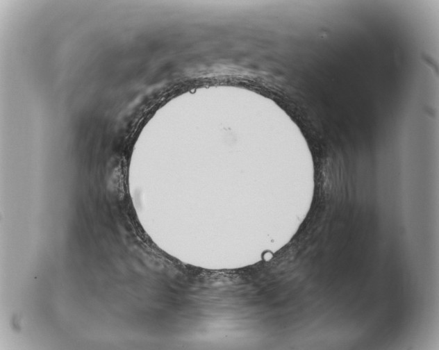 X0000103951493200810171825