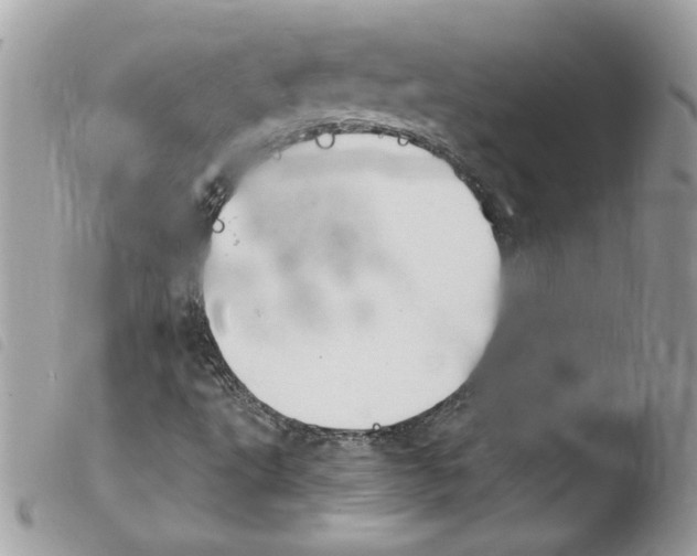 X0000103951495200810171825