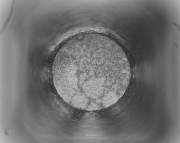 X0000103951496200810171825