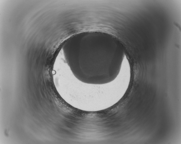 X0000103951497200810171826