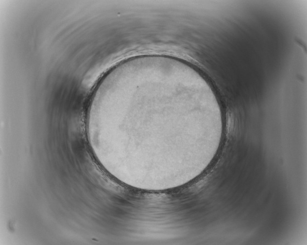 X0000103951498200810171826