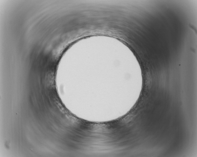 X0000103951499200810171826