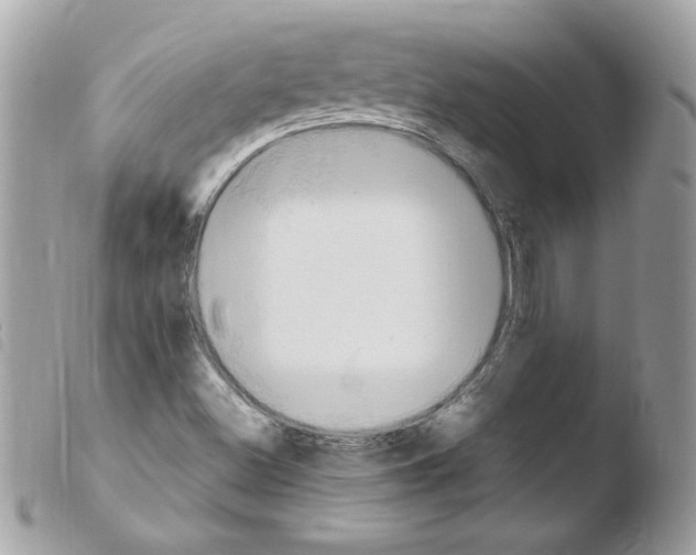 X0000103951500200810171826