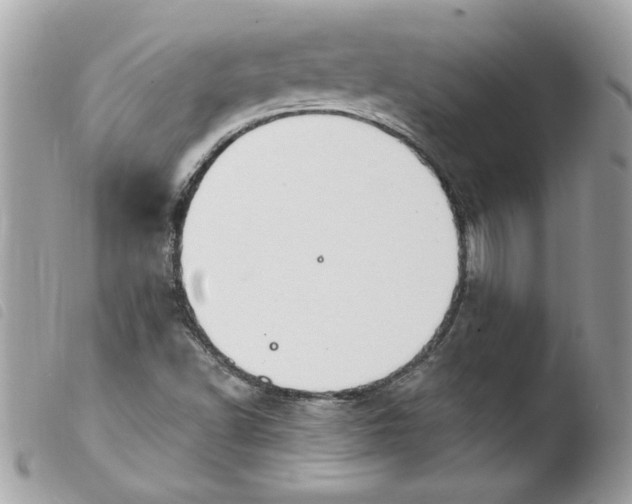 X0000103951502200810171826